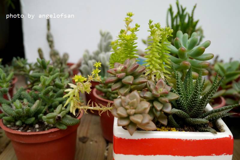 P1240671.JPG P1240671.JPG