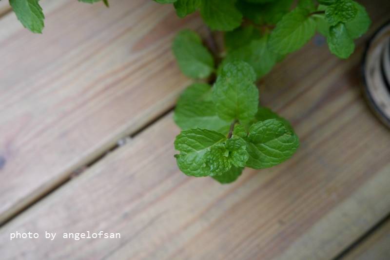 P1240673.JPG P1240673.JPG