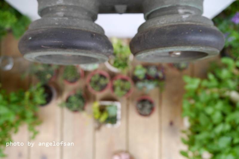 P1240675.JPG P1240675.JPG