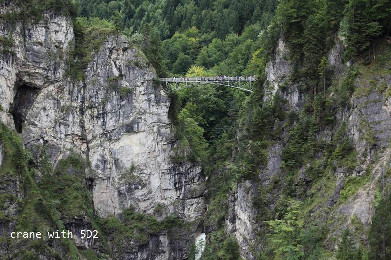 IMG_4535.JPG IMG_4535.JPG