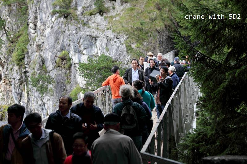 IMG_4575.JPG IMG_4575.JPG