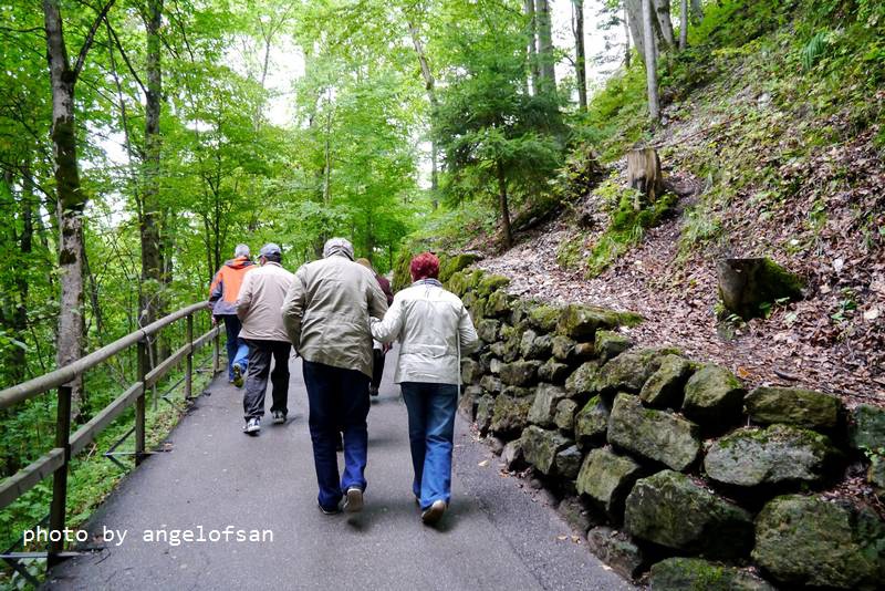 P1160139.JPG P1160139.JPG