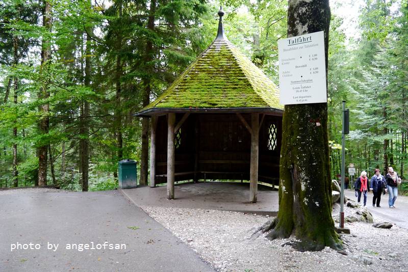 P1160159.JPG P1160159.JPG