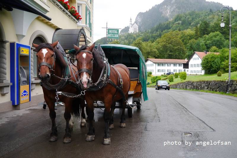 P1160191.JPG P1160191.JPG