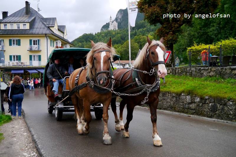 P1160186.JPG P1160186.JPG