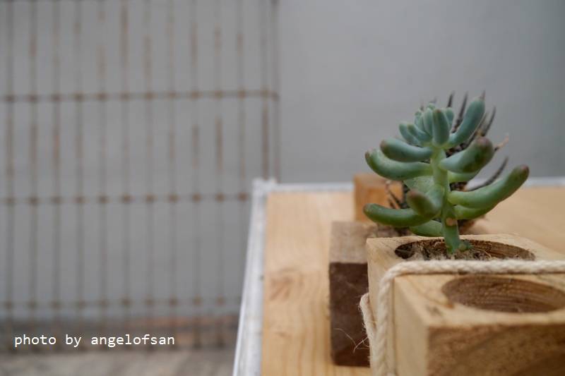 P1240952.JPG P1240952.JPG