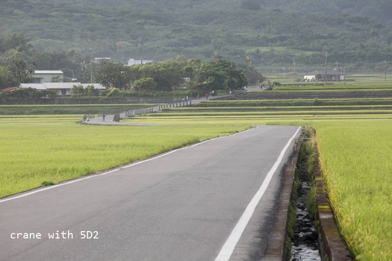 IMG_9712.JPG IMG_9712.JPG