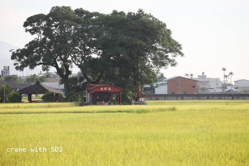 IMG_9773.JPG IMG_9773.JPG