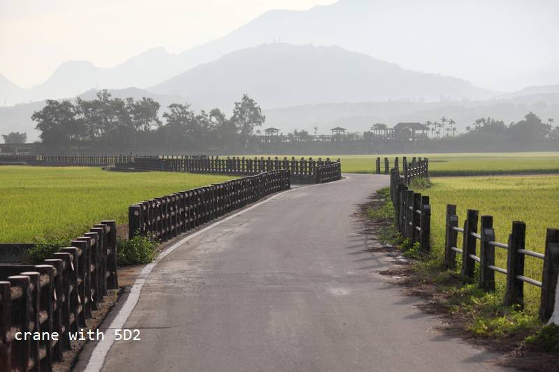 IMG_9788.JPG IMG_9788.JPG