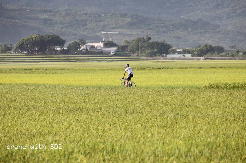 IMG_9800.JPG IMG_9800.JPG