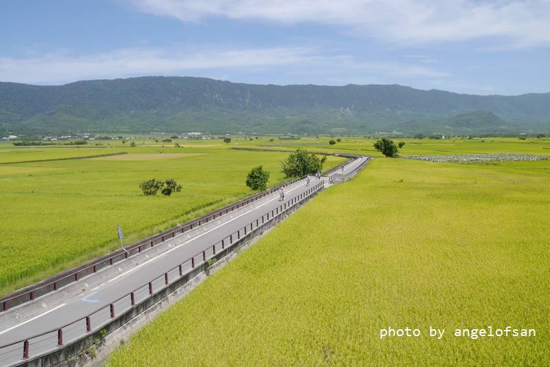 P1250153.JPG P1250153.JPG