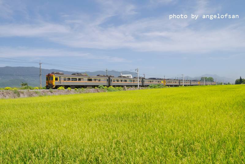 P1250212.JPG P1250212.JPG