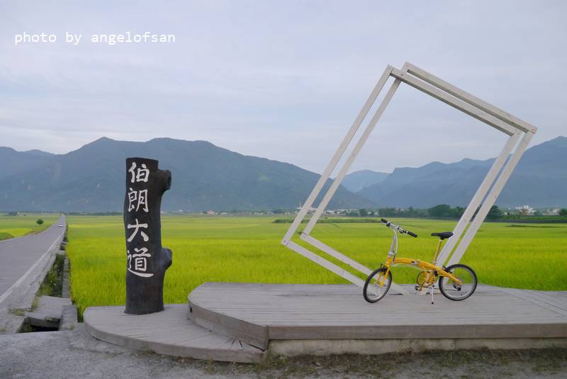 P1250497.JPG P1250497.JPG