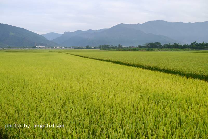 P1250530.JPG P1250530.JPG