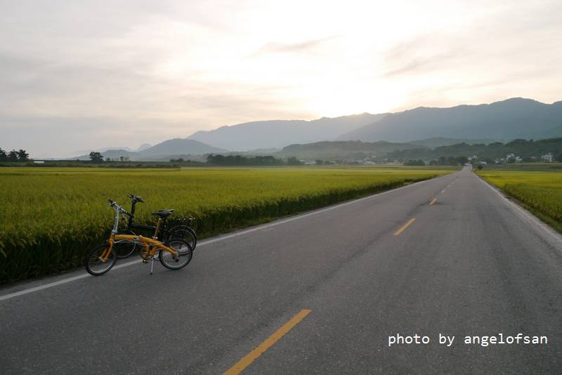 P1250540.JPG P1250540.JPG