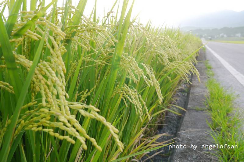 P1250553.JPG P1250553.JPG