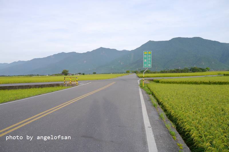 P1250555.JPG P1250555.JPG