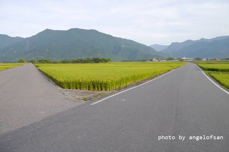 P1250563.JPG P1250563.JPG