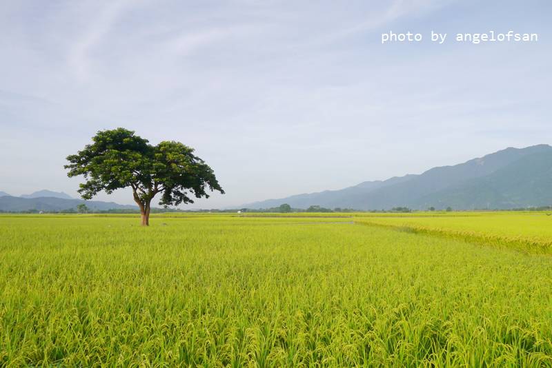 P1250590.JPG P1250590.JPG