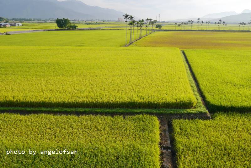 P1250687.JPG P1250687.JPG