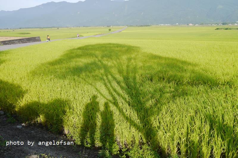 P1250705.JPG P1250705.JPG