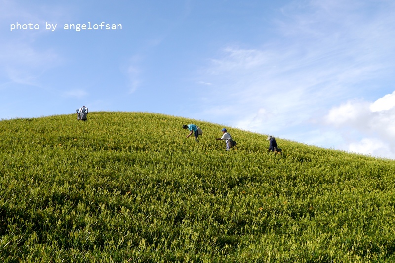 P1260946.JPG P1260946.JPG