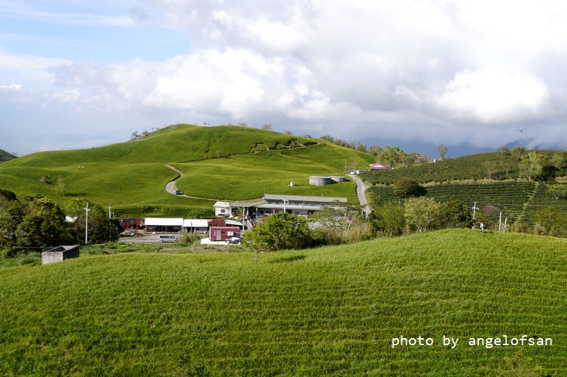 P1260950.JPG P1260950.JPG