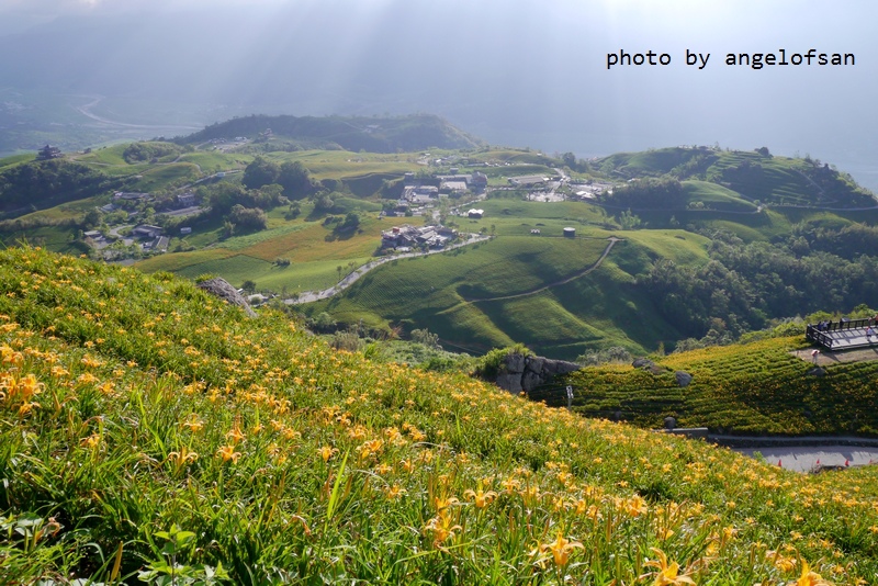 P1260991.JPG P1260991.JPG