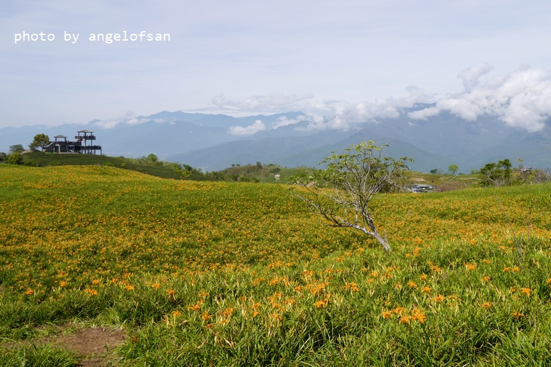 P1270059.JPG P1270059.JPG