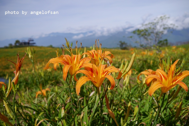 P1270061.JPG P1270061.JPG