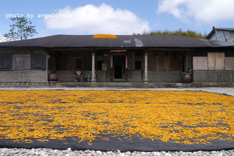 P1270102.JPG P1270102.JPG