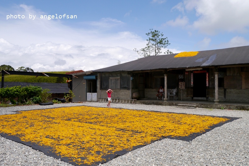 P1270092.JPG P1270092.JPG