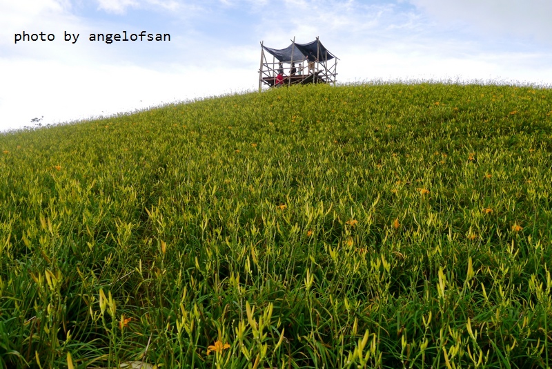 P1270145.JPG P1270145.JPG