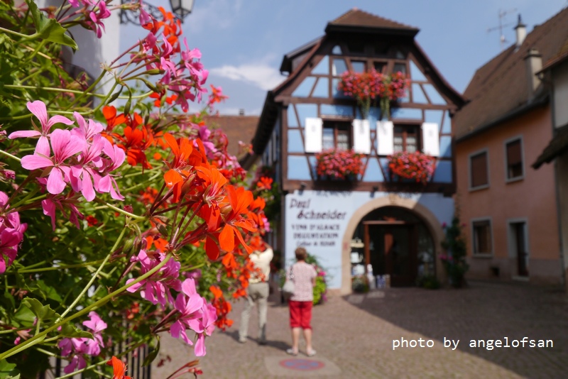 P1280136.JPG P1280136.JPG