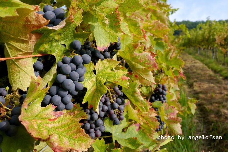 P1290032.JPG P1290032.JPG