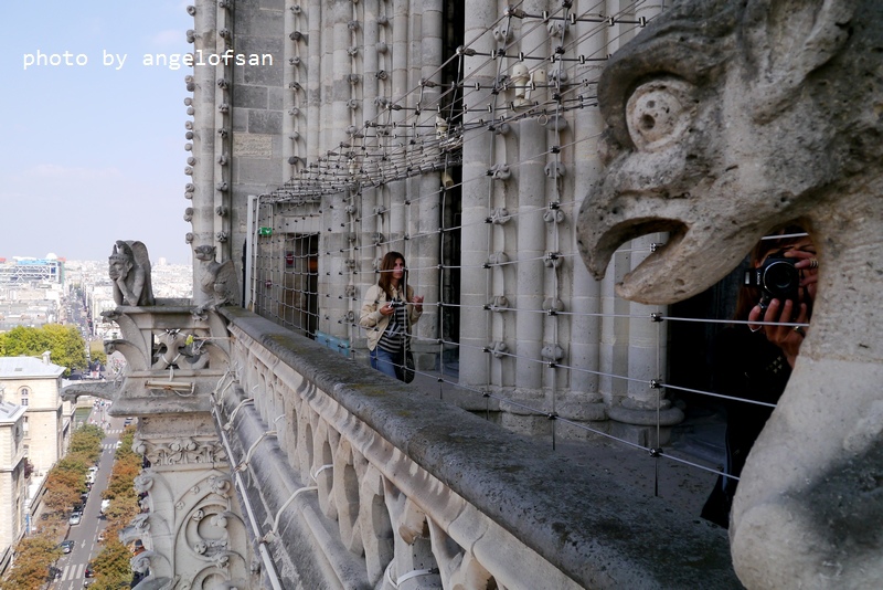 P1290473.JPG P1290473.JPG