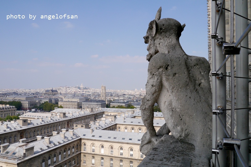 P1290498.JPG P1290498.JPG