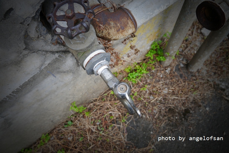 P1300544.JPG P1300544.JPG