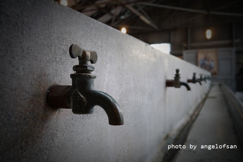 P1300600.JPG P1300600.JPG