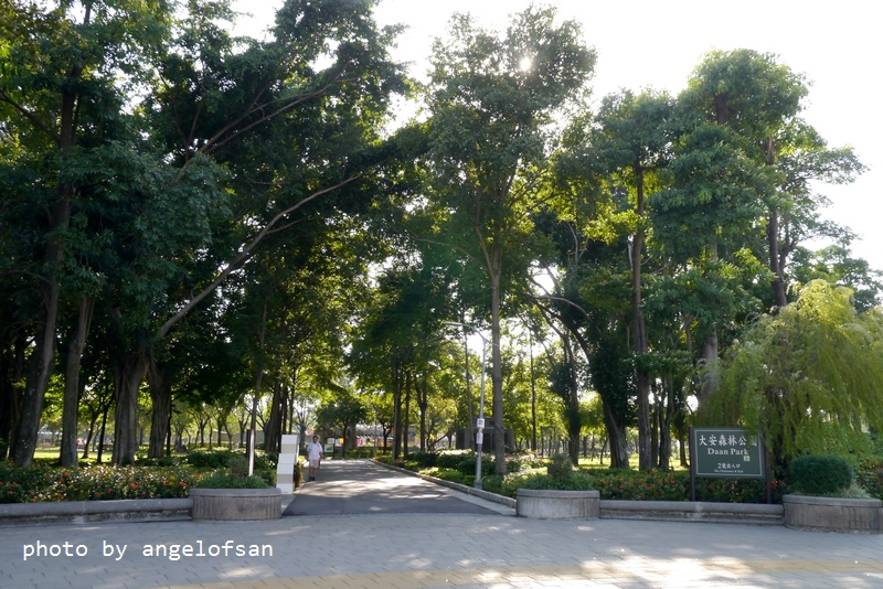 P1300721.JPG P1300721.JPG