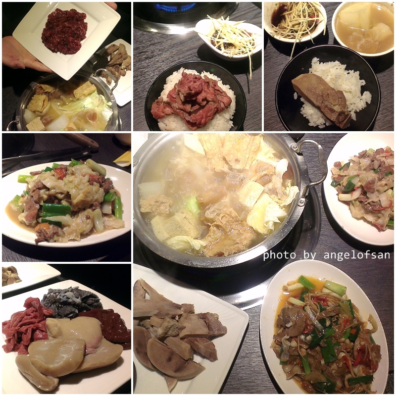 cats01.jpg cats01.jpg