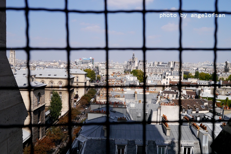 P1290456.JPG P1290456.JPG