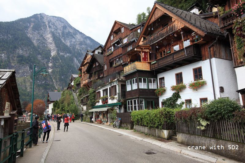 IMG_5490.JPG IMG_5490.JPG