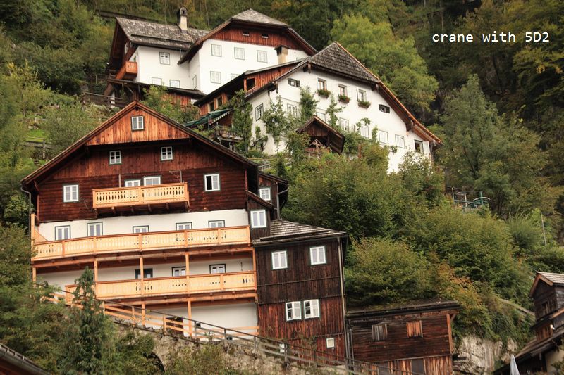 IMG_5500.JPG IMG_5500.JPG