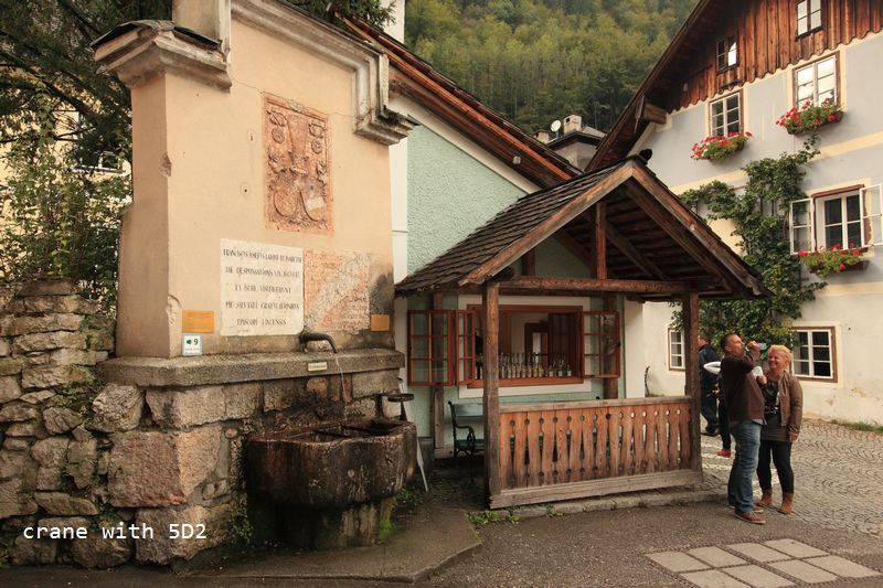 IMG_5505.JPG IMG_5505.JPG