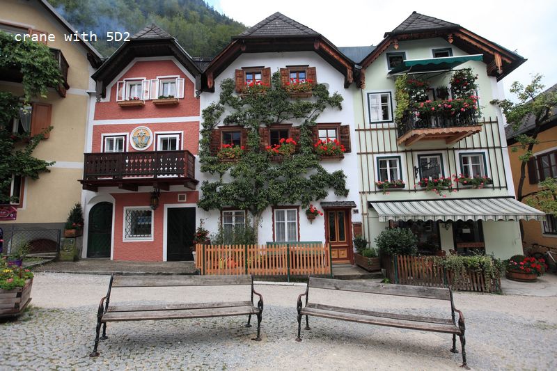 IMG_5532.JPG IMG_5532.JPG