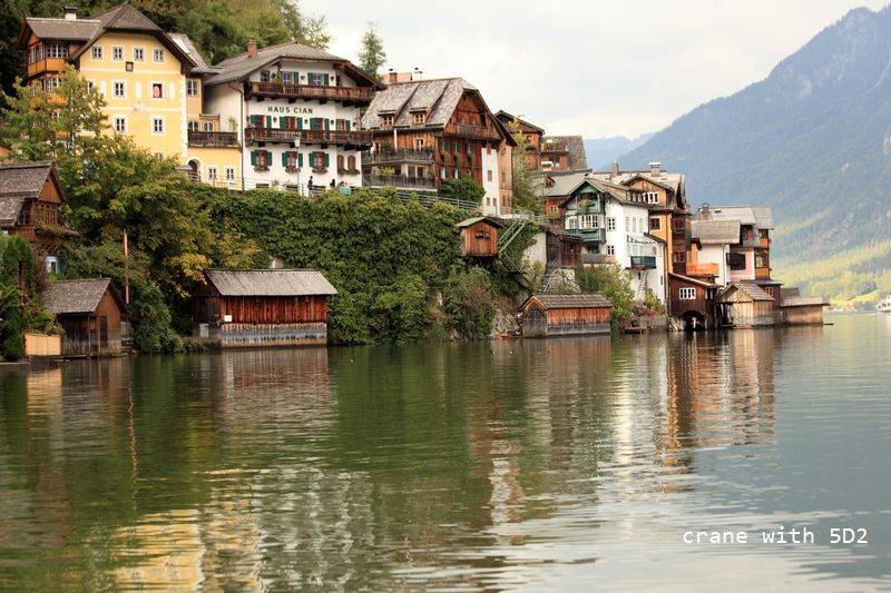 IMG_5555.JPG IMG_5555.JPG