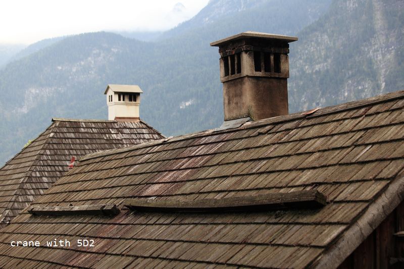 IMG_5655.JPG IMG_5655.JPG