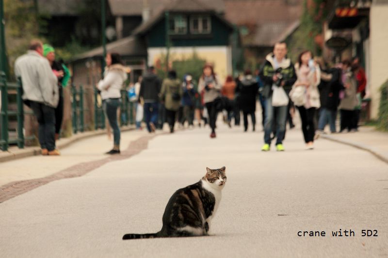 IMG_5688.JPG IMG_5688.JPG