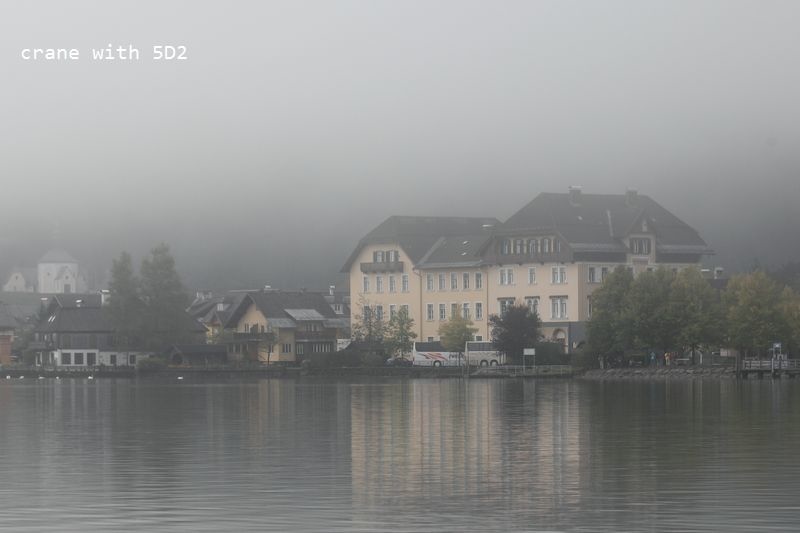 IMG_5730.JPG IMG_5730.JPG